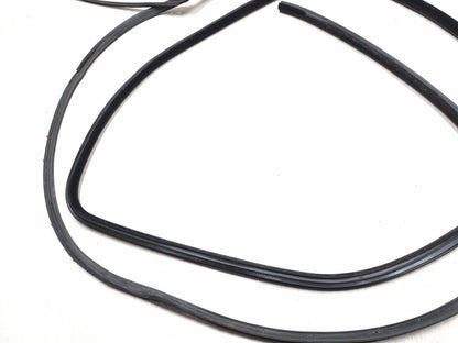 2018 Chrysler 300 Front Door Weatherstrip Seal Driver Side Left 2pcs OEM
