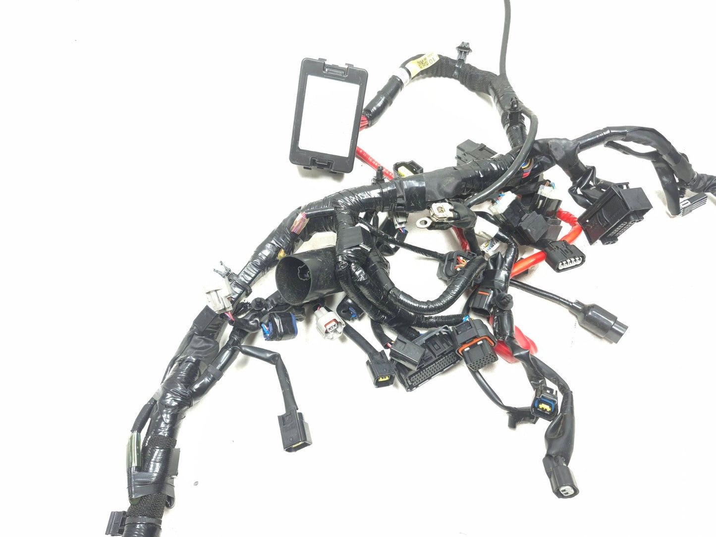 2025 Yamaha Xsr900 Main Wire Harness OEM