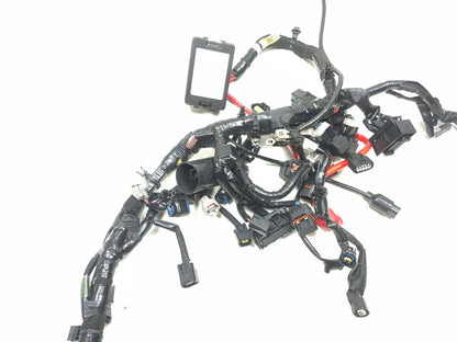 2025 Yamaha Xsr900 Main Wire Harness OEM