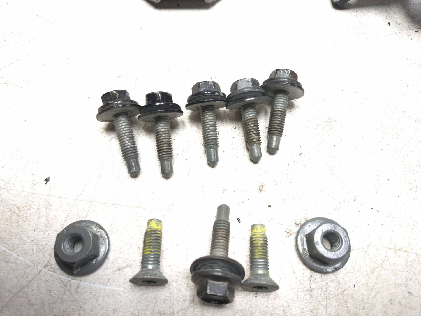 2019 Ford Ecosport Door Hinge Passenger Side Right Front & Rear OEM