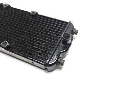 2016 Harley-davidson Street Xg750 Radiator Coolant OEM