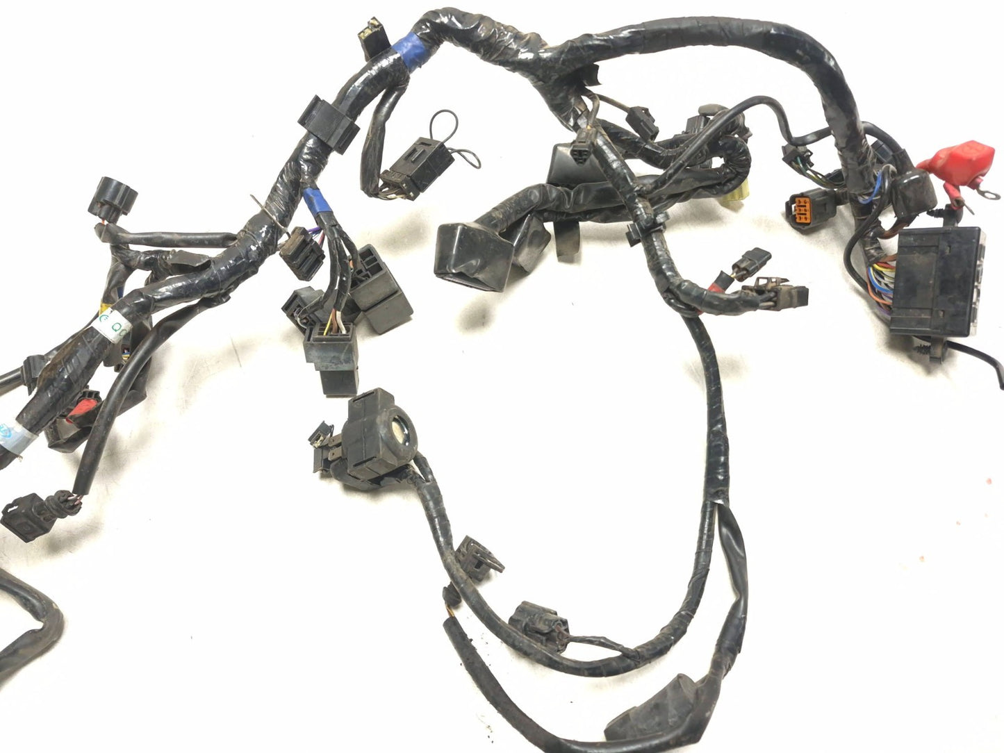 2014 Triumph America Main Wire Harness OEM