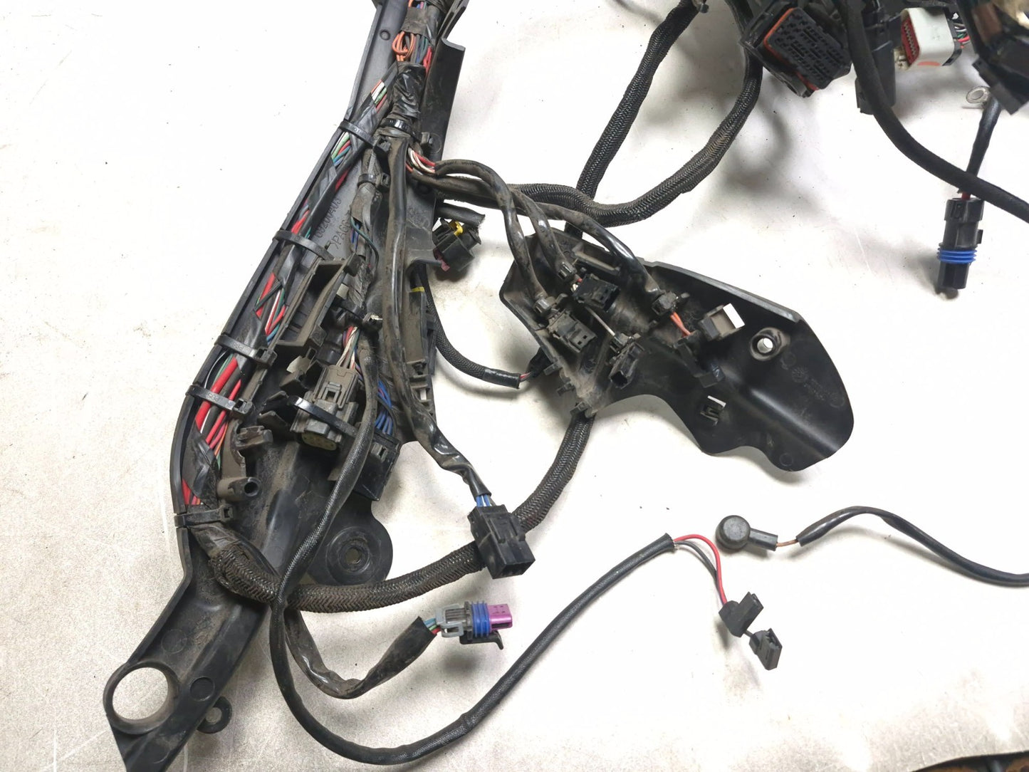 2021 Harley-davidson Sportster Xl1883 ABS Main Wire Wiring Harness OEM