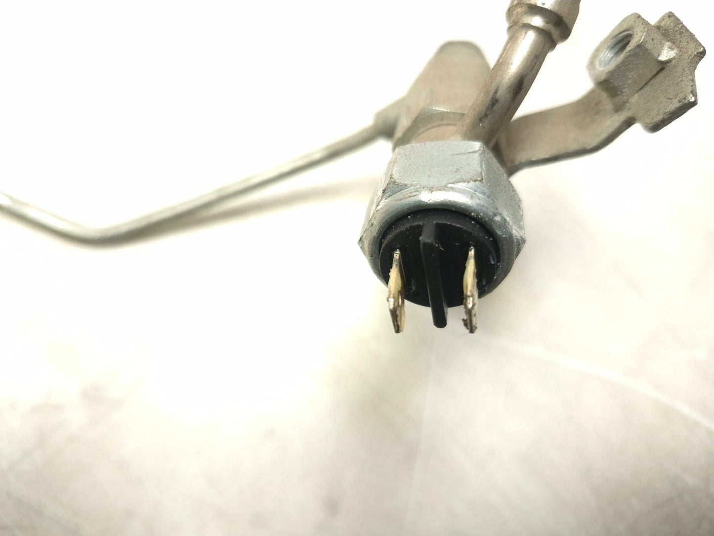 2014 Triumph America Rear Brake Line W/ Switch OEM