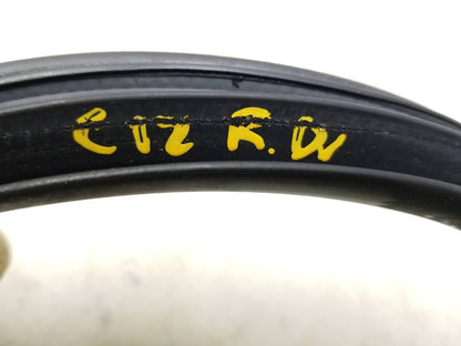 2011 - 2013 Kia Sportage Door Weatherstrip Seal Rear Driver Side Left OEM