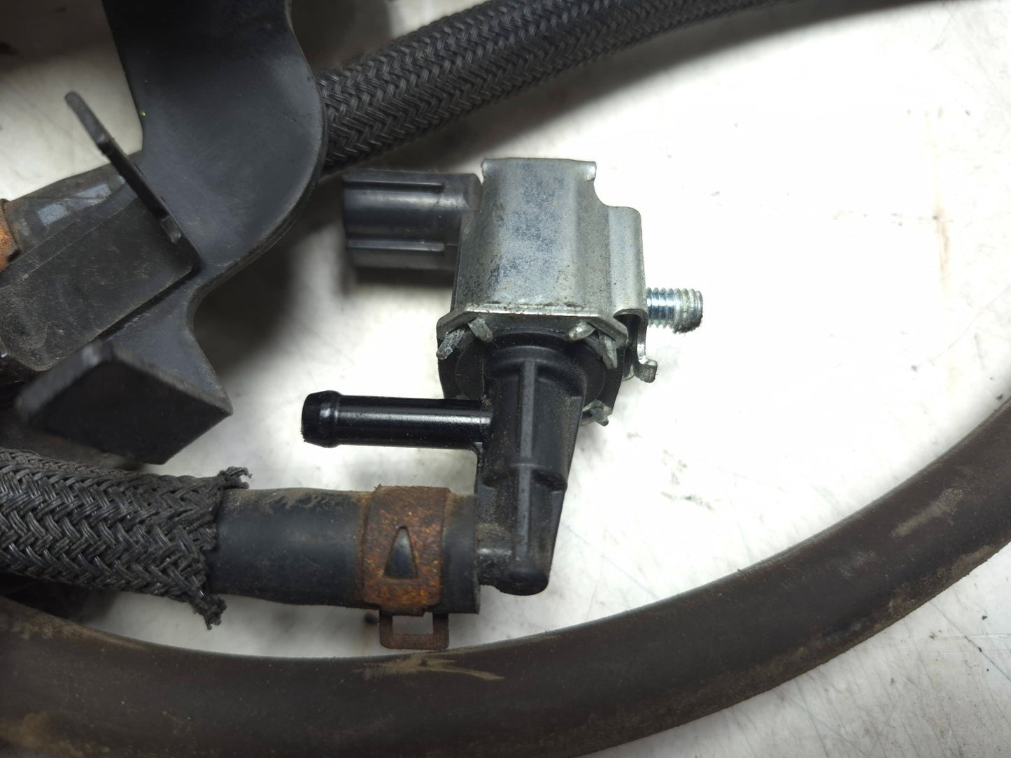 2015 Suzuki Gw250 Inazuma 250 Charcoal Evap Canister W/ Valve OEM