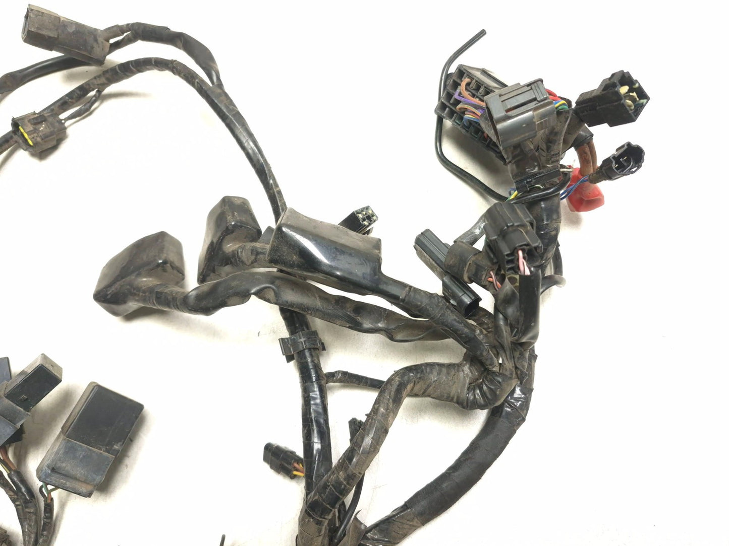 2014 Triumph America Main Wire Harness OEM