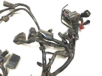 2014 Triumph America Main Wire Harness OEM