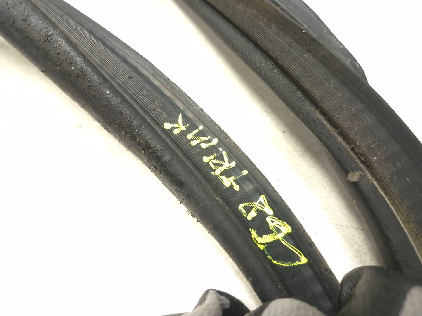 2007 Toyota Corolla Trunk Weatherstrip Seal OEM