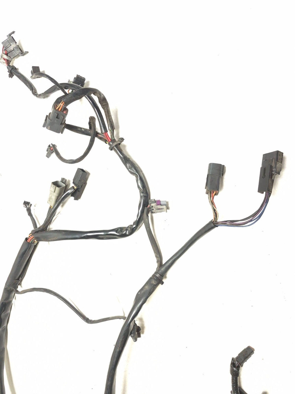 2004 Harley Softail Flstc Heritage Classic Main Wire Harness OEM