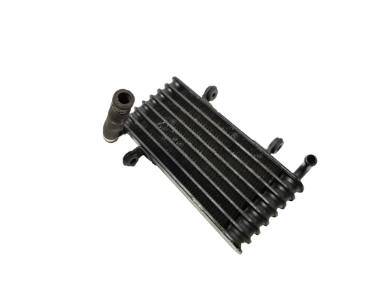 2002 Aprilia Rst 1000 Futura Left Cooling Radiator OEM