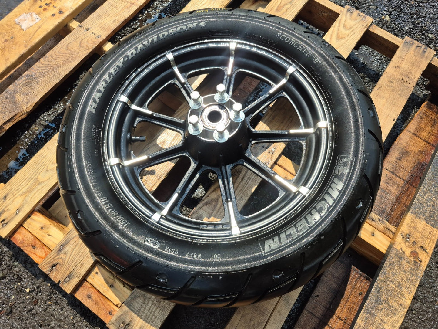 2021 Harley-davidson Sportster Xl1883 Rear Wheel Rim & Tire OEM