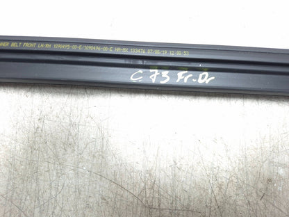 2019 Tesla Model 3 Door Weatherstrip Front Driver Side Left OEM