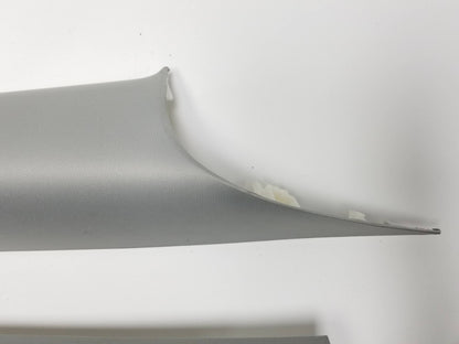 2021 Tesla Model 3 Rear C-pillar Rail Trim Cover Left & Right Pair OEM