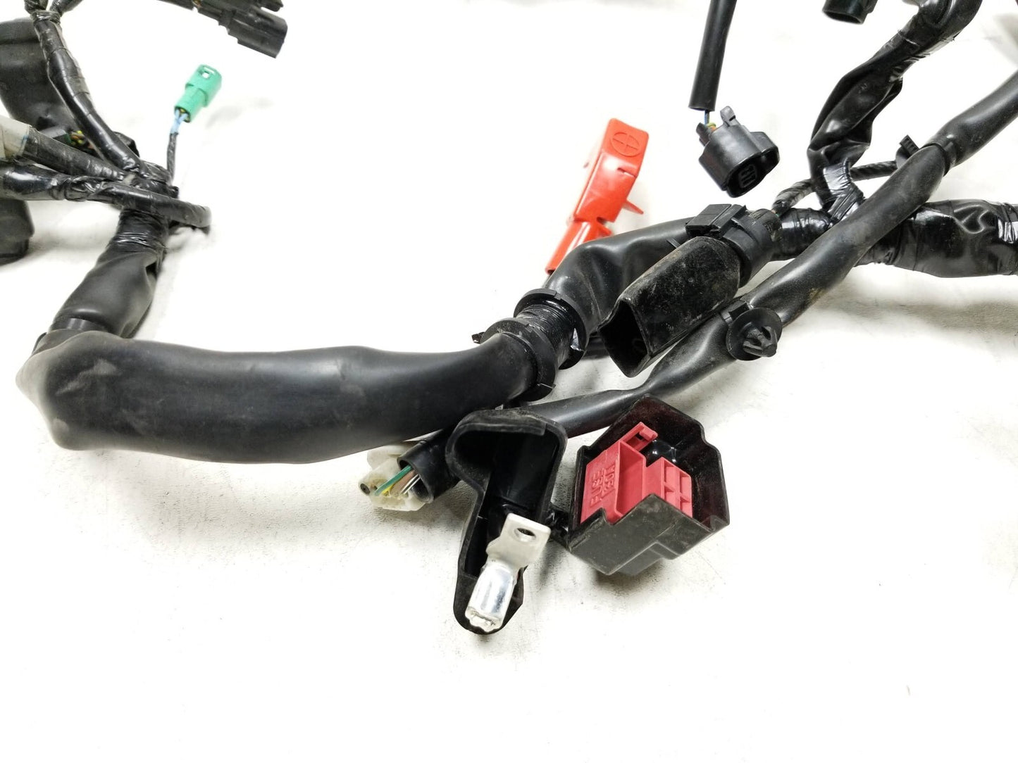 19 - 23 Honda Cbf300 Na Main Engine Wire Harness OEM
