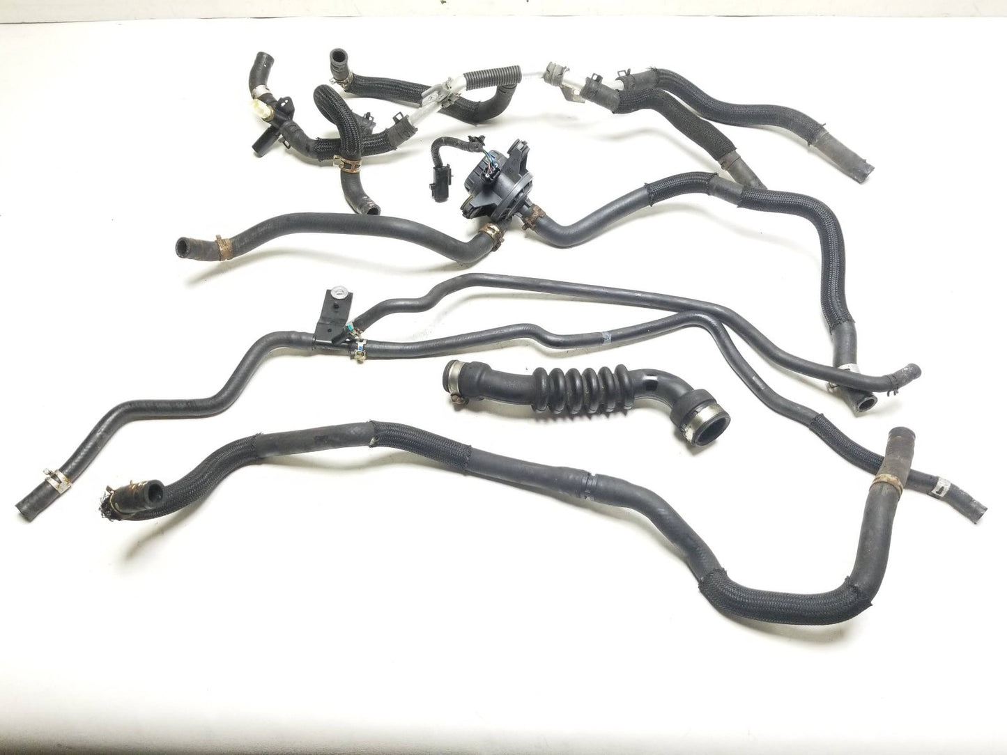 11-17 Lexus CT200h Coolant Hose Pipe Oem✅