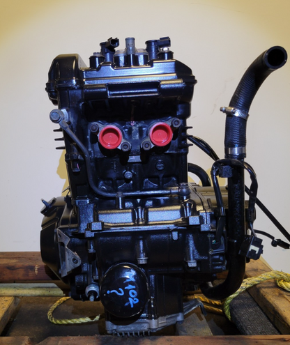 2013 Kawasaki Ninja 300 Ex300a Engine 14k Miles ✅