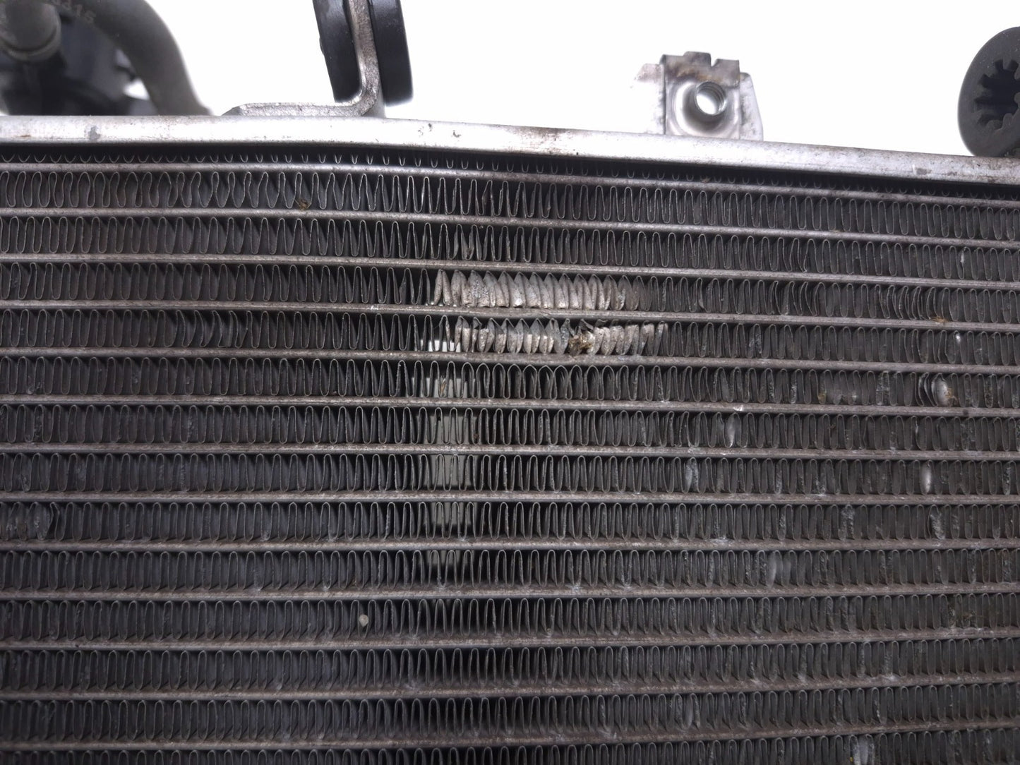 2020 Honda Cb300r Cbf300na Radiator OEM