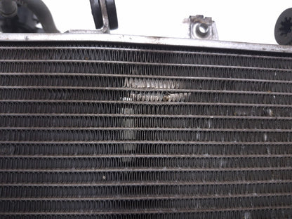 2020 Honda Cb300r Cbf300na Radiator OEM