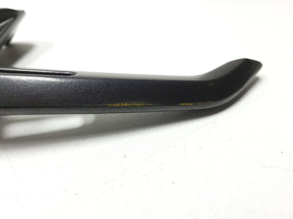 2021 - 2024  BMW G310 R Rear Passenger Grab Rail Left & Right OEM