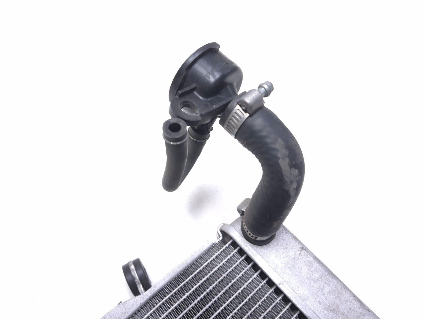 2020 Honda Cb300r Cbf300na Radiator OEM