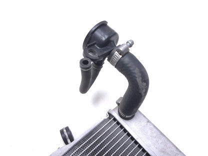 2020 Honda Cb300r Cbf300na Radiator OEM