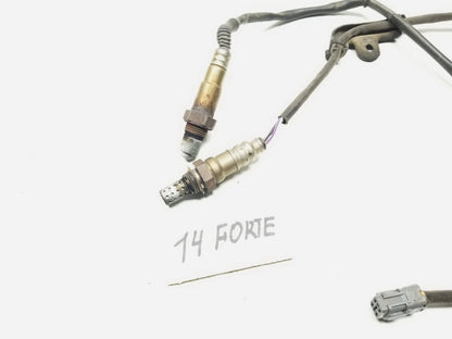 14 15 16 Kia Forte Oxygen Sensor 2pcs 2.0l OEM