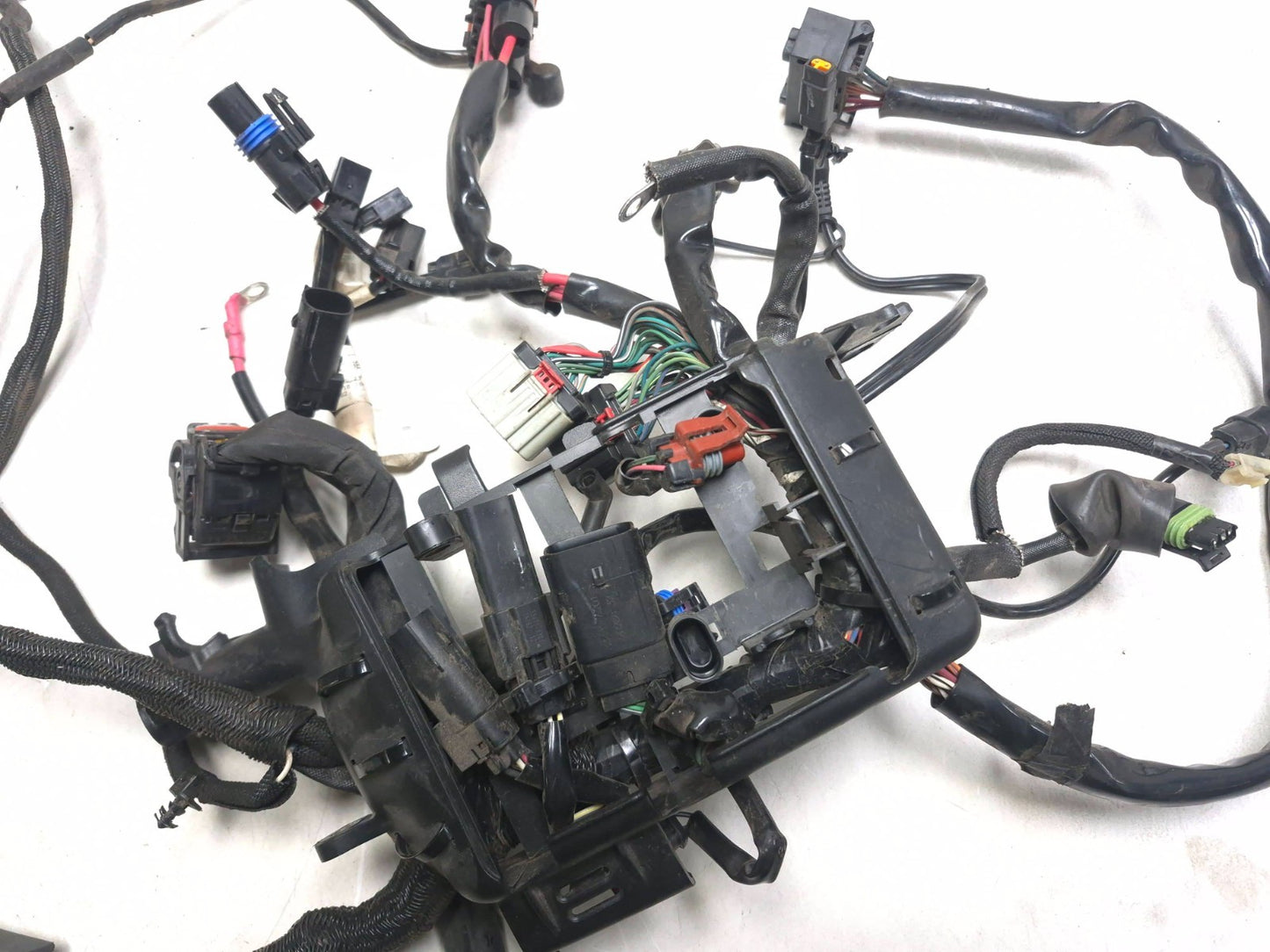 2021 Harley-davidson Sportster Xl1883 ABS Main Wire Wiring Harness OEM