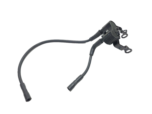 2011-2015 Harley-davidson Forty Eight Xl1200 Ignition Coil Plug Pack  OEM