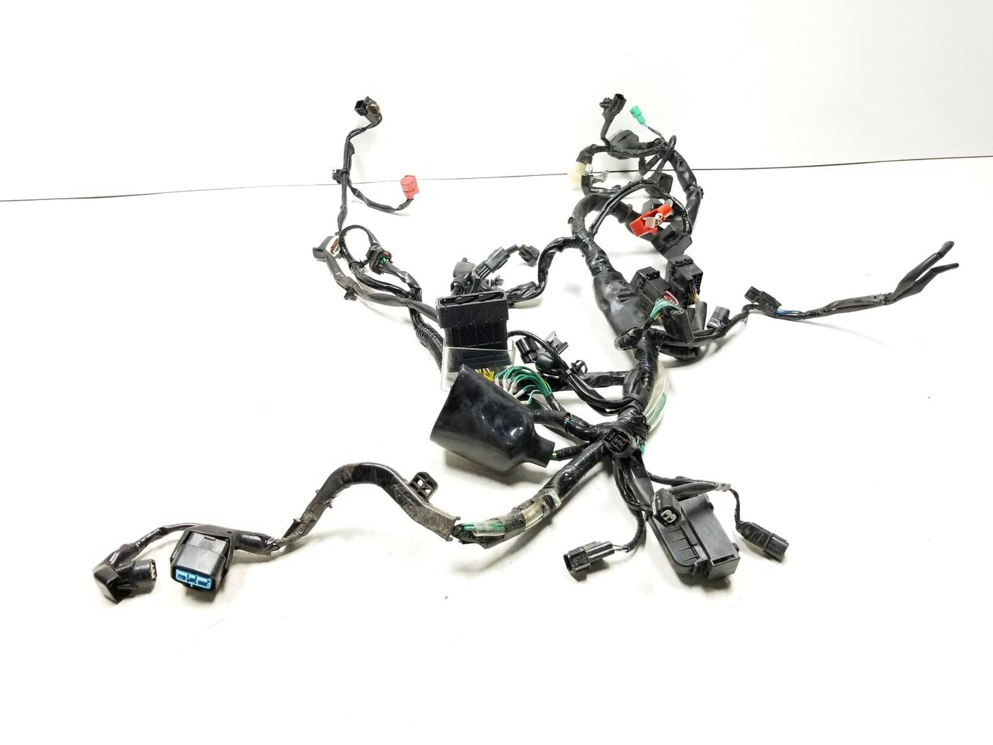 19 - 23 Honda Cbf300 Na Main Engine Wire Harness OEM