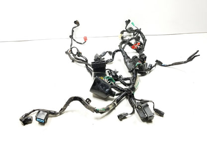 19 - 23 Honda Cbf300 Na Main Engine Wire Harness OEM