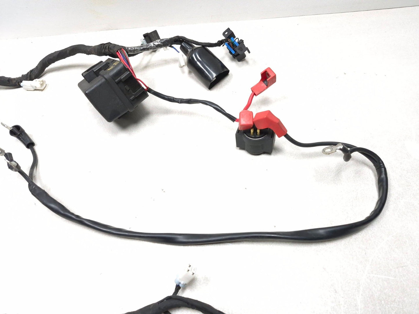2023 Cf Moto Lifan 300ss Main Wiring Harness OEM