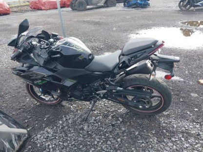2024 Kawasaki Ninja 500 Ex500 Fuel Tank OEM