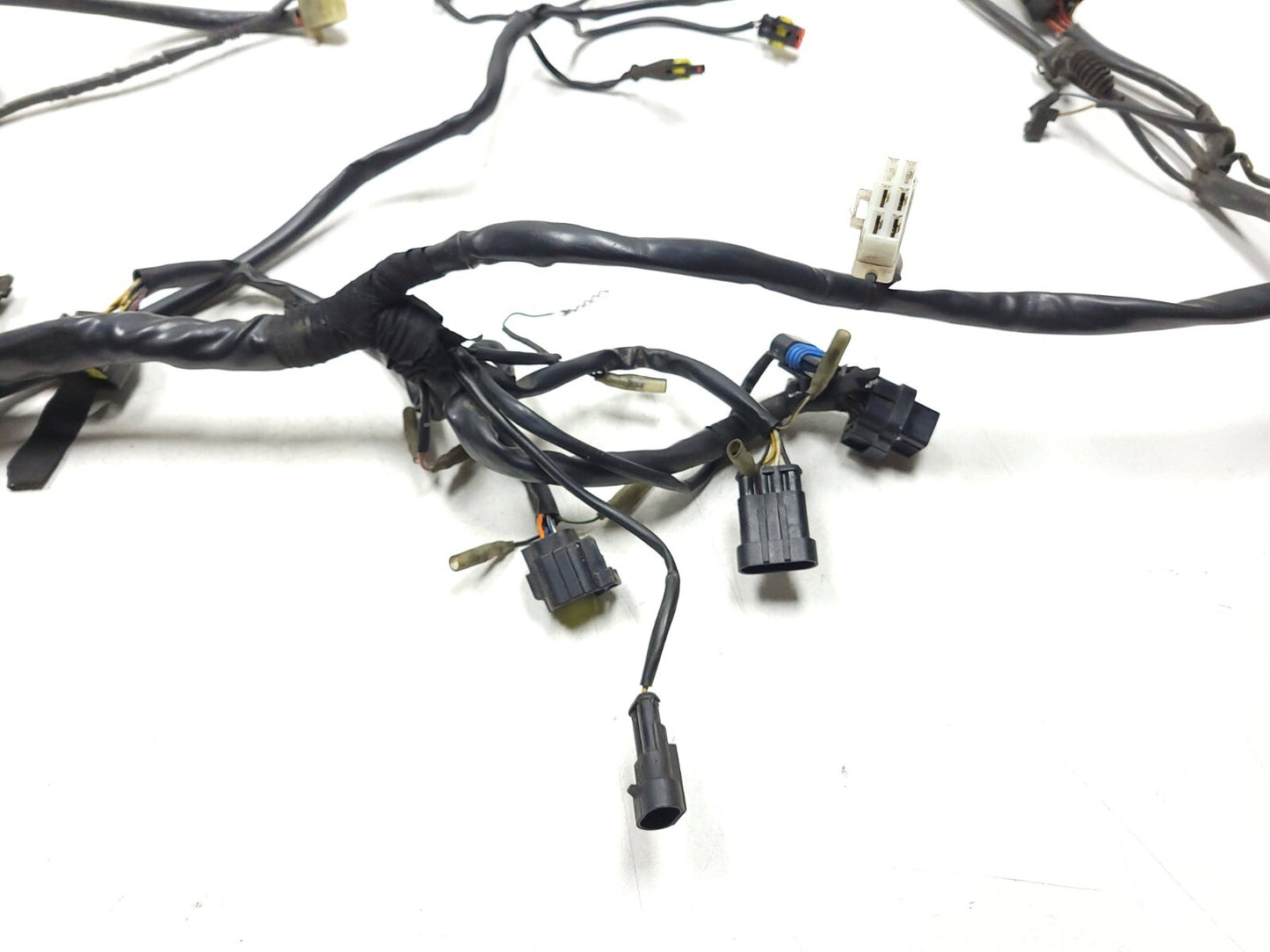 02-06 Ducati Monster M600 620 Main Wire Harness OEM