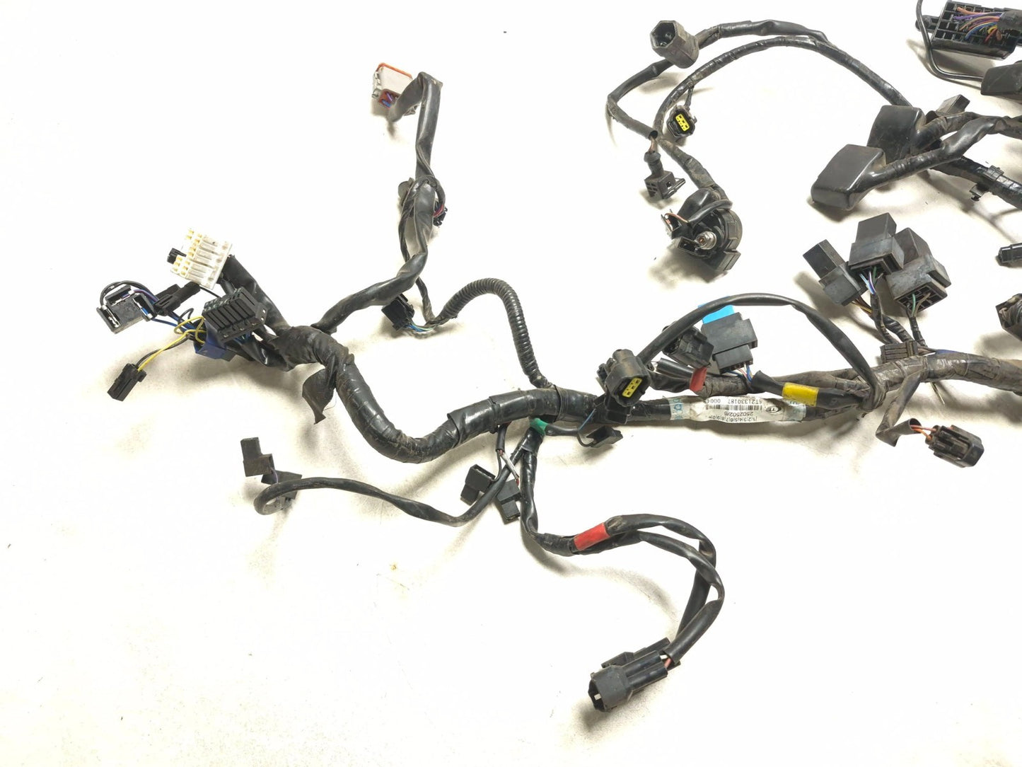 2014 Triumph America Main Wire Harness OEM
