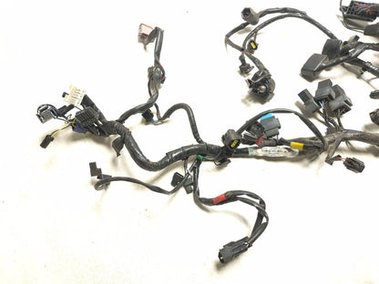 2014 Triumph America Main Wire Harness OEM