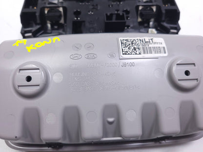 2019 Hyundai Kona Overhead Console Dome Light OEM