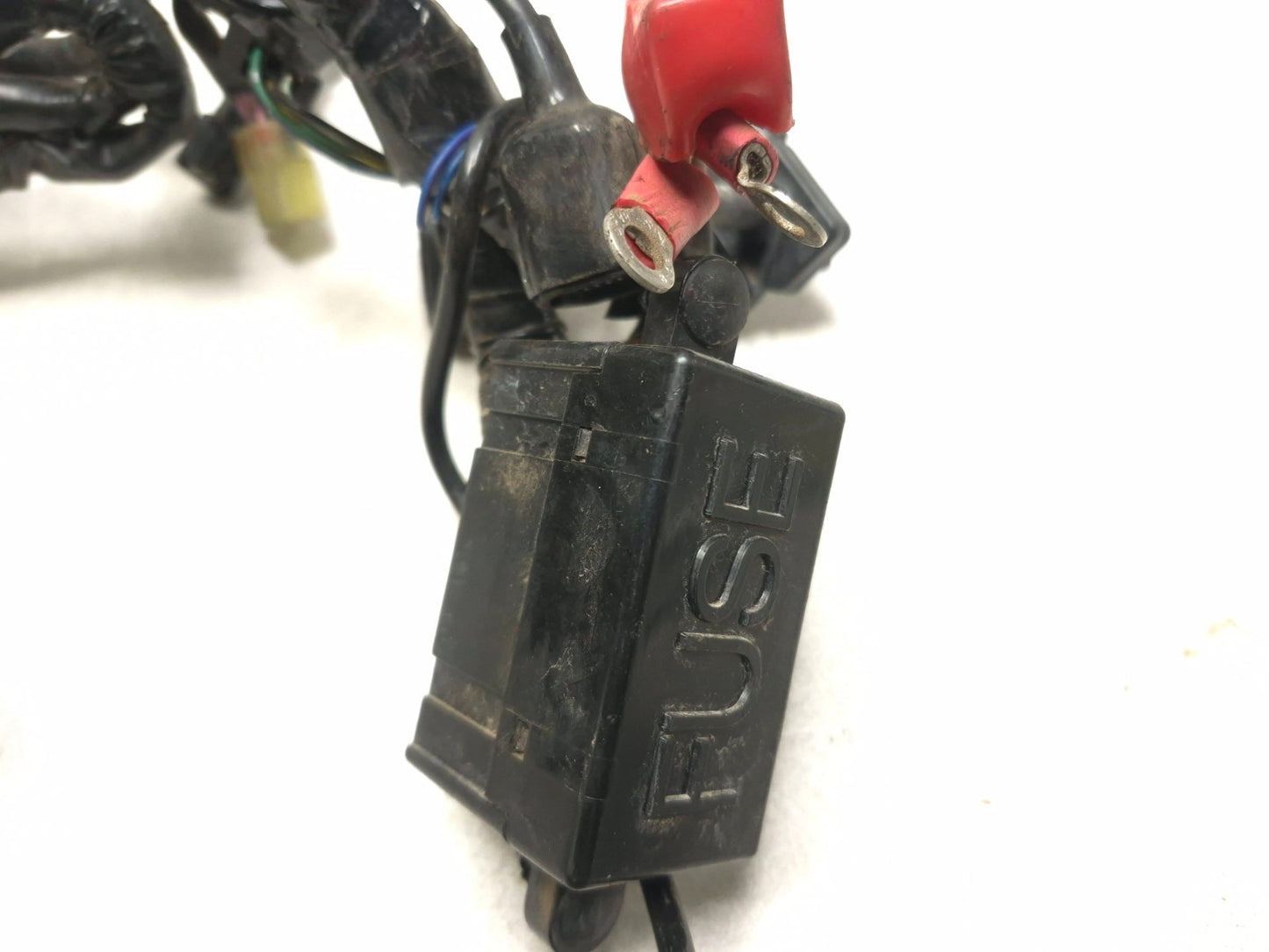 2014 Triumph America Main Wire Harness OEM