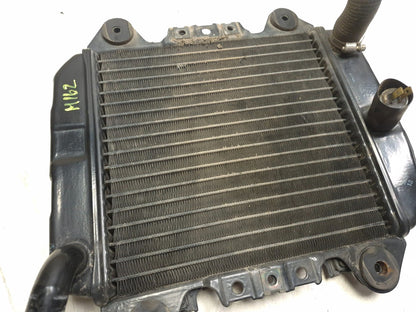 2007 Kawasaki Ninja 250 Ex250 F Cooling Radiator W/ Screen OEM