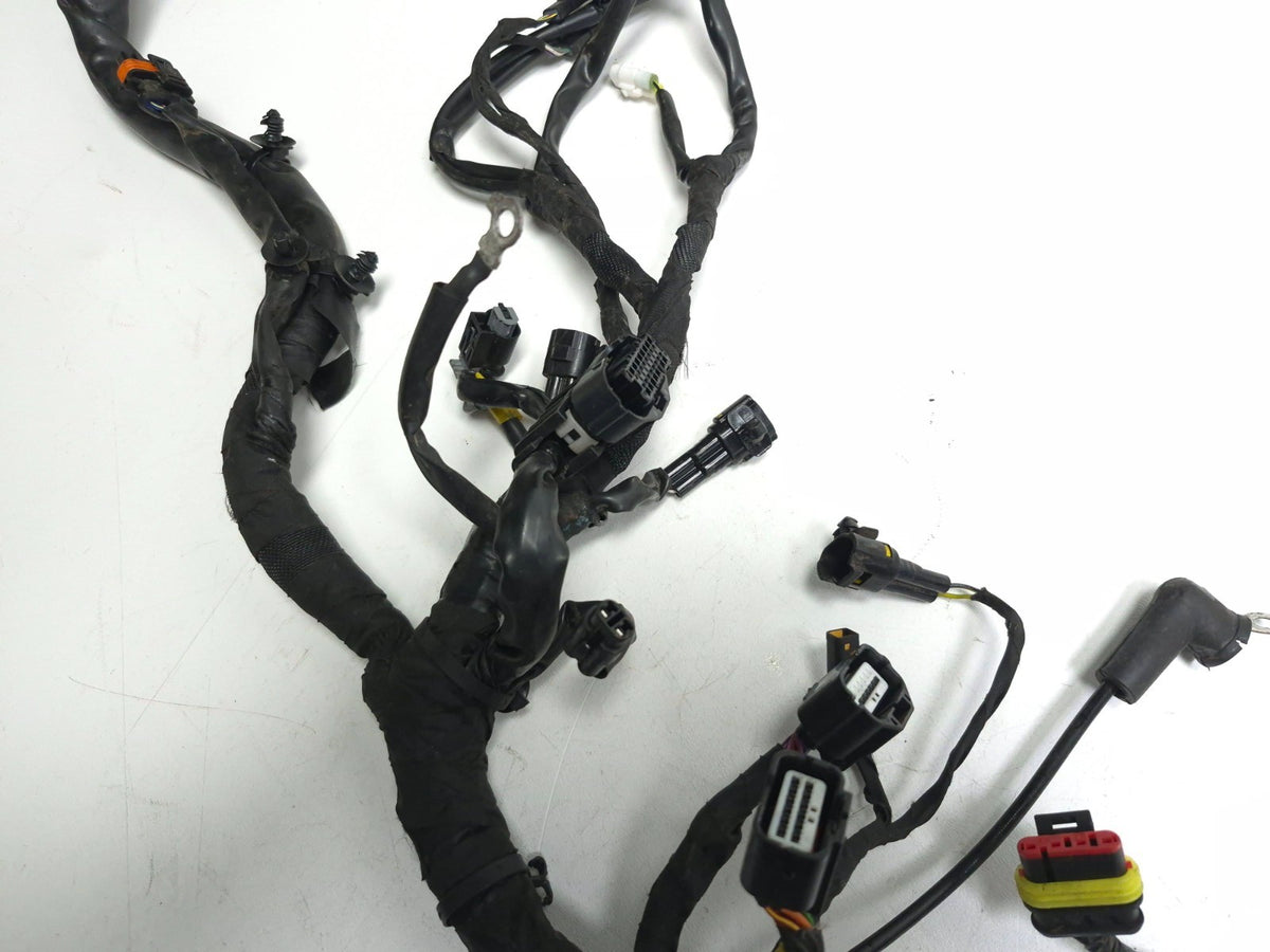 2024 Triumph Speed 400 Main Wire Harness OEM