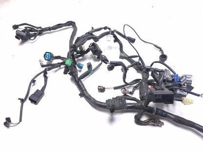 2023 Kawasaki Er400 Z400 Main Engine Wiring Harness OEM