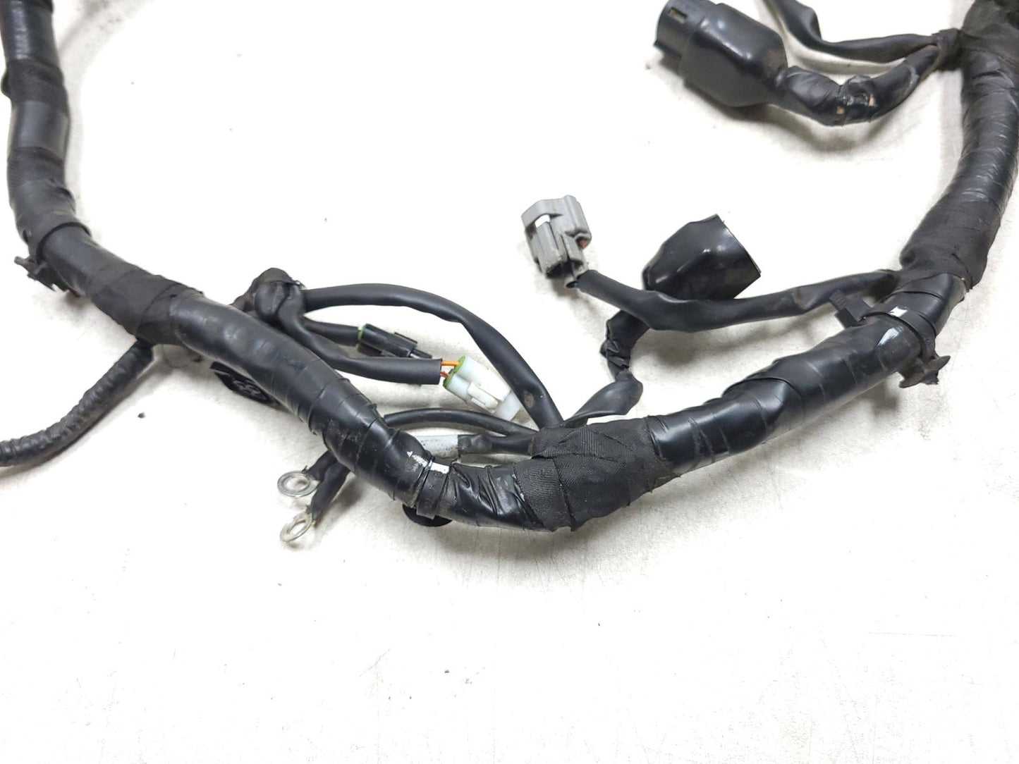 2022 - 2024 Royal Enfield Classic 350 Main Wire Harness OEM