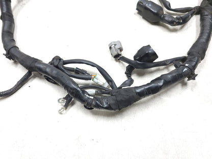 2022 - 2024 Royal Enfield Classic 350 Main Wire Harness OEM