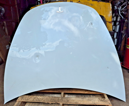 2019 Tesla Model 3 Hood Bonnet Panel OEM