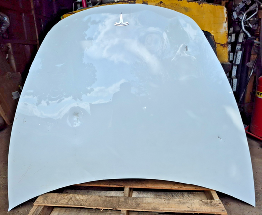 2019 Tesla Model 3 Hood Bonnet Panel OEM