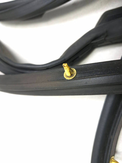 2018 Nissan Altima Rear Door Weatherstrip Seal Passenger Side Right 5pcs OEM
