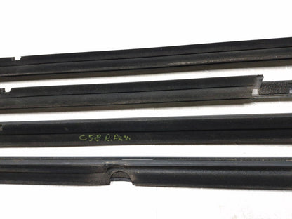 2018 Chrysler 300 Limited Front & Rear Door Trim Stripe Molding Swipe 4 Pcs OEM