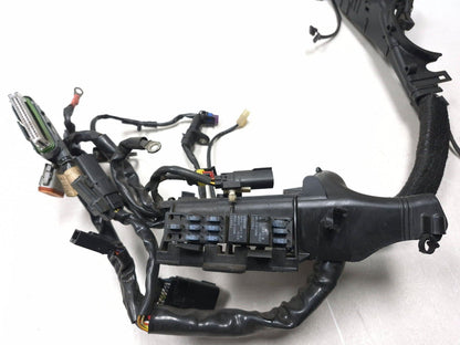 2009 Harley-davidson Sportster Xl883l Main Wiring Harness OEM