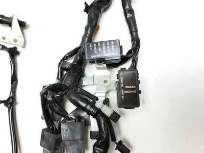 2022 Kawasaki Klr650 Kl650l Main Engine Wiring Harness OEM