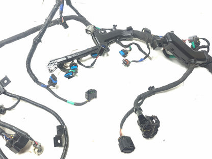 2018 Hyundai Sonata 2.4l Engine Wire Harness OEM